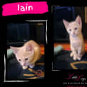 Photo of Iain