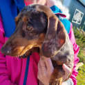 Photo of Chanelle