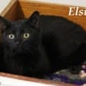 Photo of Elsie