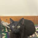 Photo of Elsie