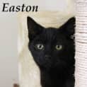 Photo of Easton