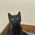 Photo of Easton