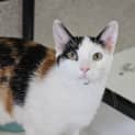 Photo of Twyla
