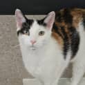 Photo of Twyla