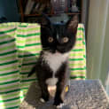 Photo of Levi
