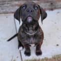 Photo of Artemis