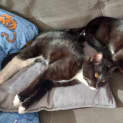 Photo of Timmy