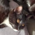 Photo of Timmy