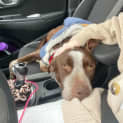 Photo of Max