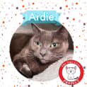 Photo of Ardie Pants *9 Lives Project Rescue*
