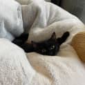 Photo of Stormy
