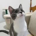 Photo of Eve