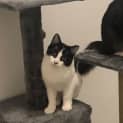 Photo of Jellybean