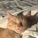 Photo of Juice