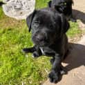 Photo of Olivia