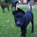 Photo of Ada