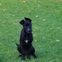 Photo of Ada