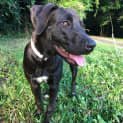 Photo of Connie