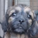 Photo of Lil Girl