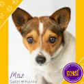Photo of Max