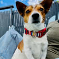 Photo of Max