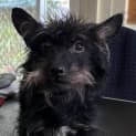 Photo of Lilly
