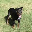 Photo of Leroy