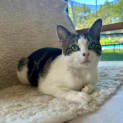 Photo of Sylvie