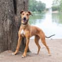 Photo of Kinley