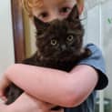 Photo of Socket *9 Lives Project Rescue*