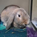 Photo of Bunzel Washington