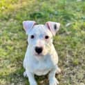 Photo of Beretta