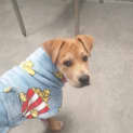 Photo of Lil