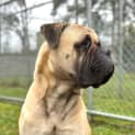 Photo of Cash