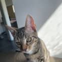 Photo of Lulu