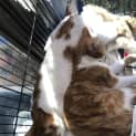 Photo of ๐ป Buttercup ๐ป