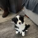 Photo of Cash