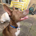 Photo of Wisper