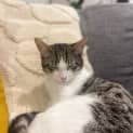 Photo of Buzz