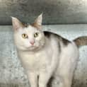 Photo of Ollie
