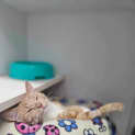 Photo of Rissa