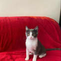 Photo of Jasper