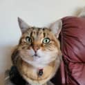 Photo of Holly