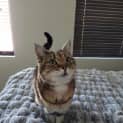 Photo of Holly