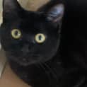 Photo of Delphine