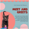 Photo of Lyra **2nd Chance Cat Rescue**