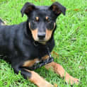 Photo of Truman 35375