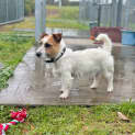 Photo of Stix