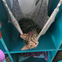 Photo of Minnie