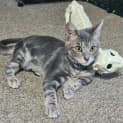 Photo of Remmie